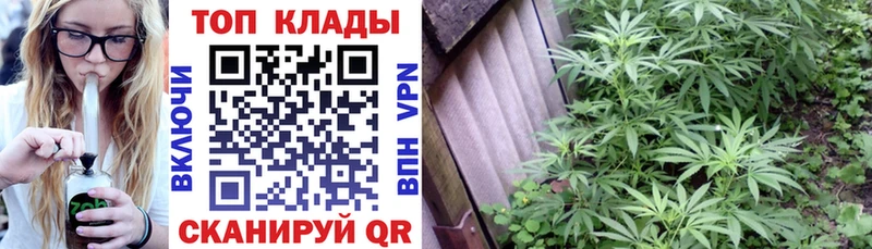 Наркота Покров КОКАИН Галлюциногенные грибы ГАШ Меф мяу мяу