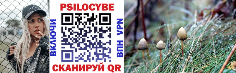 купить наркотики сайты  Покров  Галлюциногенные грибы прущие грибы 